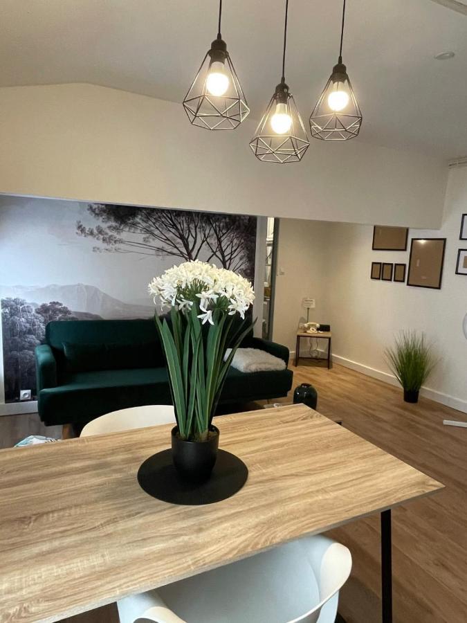 Magnifique Appartement Au Coeur De La Ville Béziers Zewnętrze zdjęcie